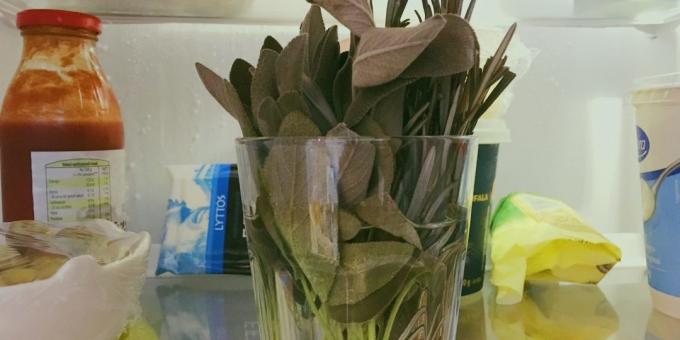 Cara toko herbal: dipotong dari ujung balok dan dimasukkan ke dalam segelas air