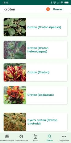 Mengidentifikasi jenis tanaman indoor menggunakan PlantSnap