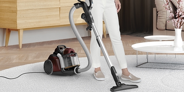Bagaimana memilih vacuum cleaner: Standard Vacuum Cleaner