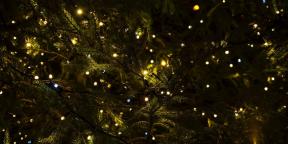 6 tradisi Natal yang telah datang kepada kita dari paganisme