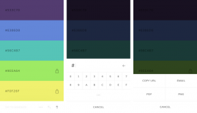 Coolors - cara termudah untuk memilih palet warna yang sempurna