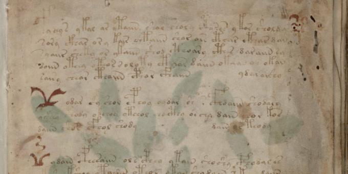 Misteri sejarah: manuskrip Voynich
