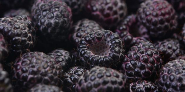 Raspberry hitam dan blackberry