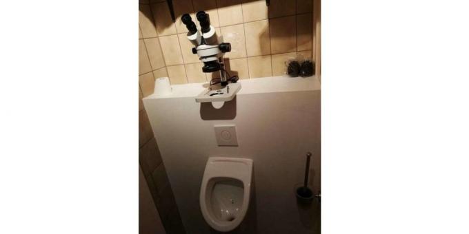 Mikroskop di toilet