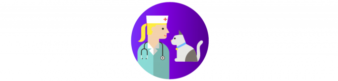 cara merawat kucing: kunjungan ke dokter hewan