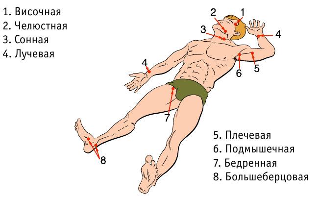 Titik menjepit arteri