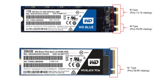 Apa SSD yang lebih baik: SSD M.2 c kunci B + M (atas) dan SSD M.2 dengan kunci M (bawah)