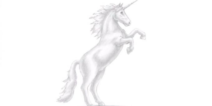 Cara menggambar jingkrak unicorn realistis