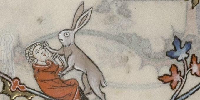 Anak-anak Abad Pertengahan: seekor kelinci menyerang seorang pria, Breviary oleh Renaud de Bara