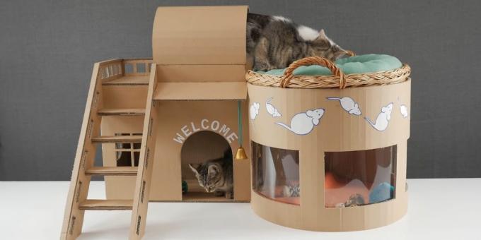 Cara membuat rumah dua lantai untuk keluar kucing dari kotak dengan tangan mereka