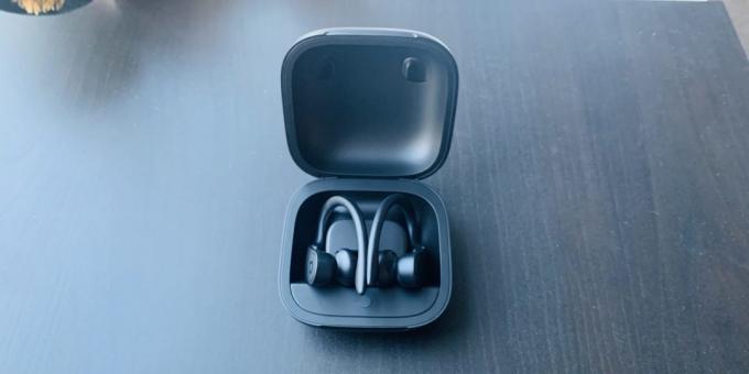 Powerbeats Pro: pandangan umum