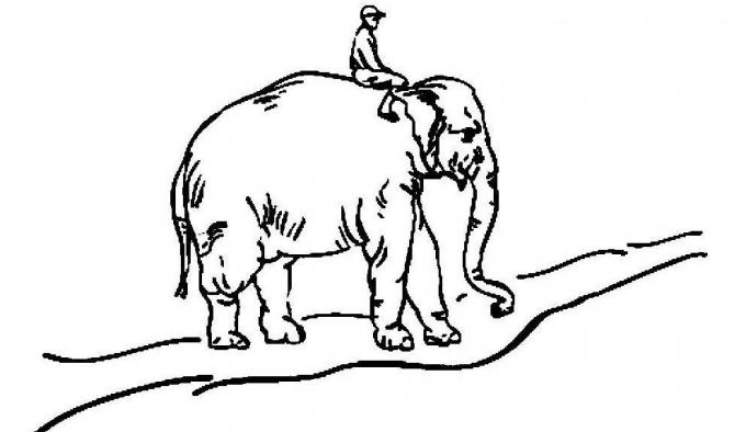 kebiasaan baik: gajah, pengendara dan jalan