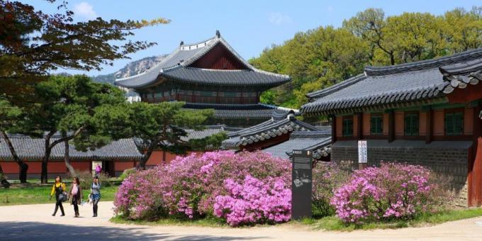 Atraksi Korea Selatan