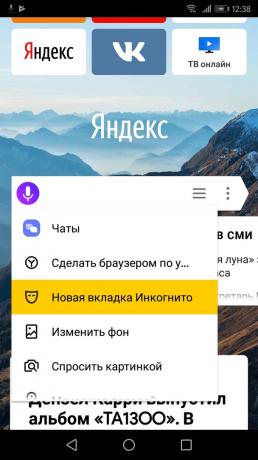 Cara mengaktifkan mode penyamaran "Yandex. browser "