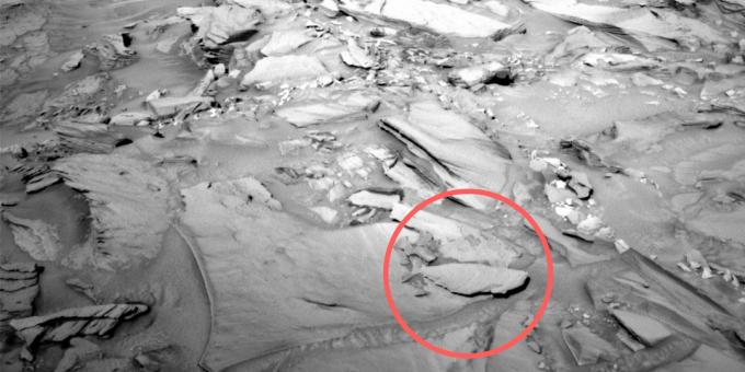 Foto ruang: ikan membatu di Mars