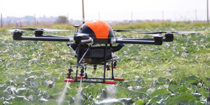 Drone membantu tanaman tumbuh