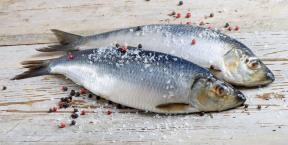 8 cara untuk cepat dan lezat acar ikan herring