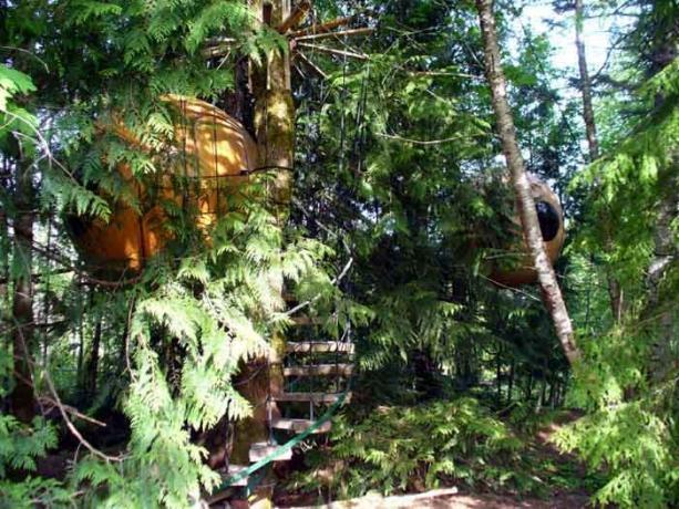 Treehouse, yang dapat dipesan