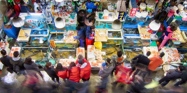 Objek Wisata Korea Selatan: perlu untuk mengunjungi pasar ikan