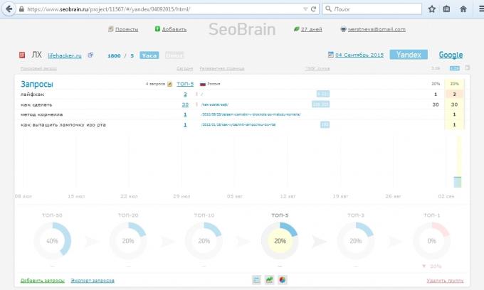 Layanan Ikhtisar SeoBrain, laporan proyek